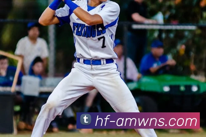 威尼斯人官网服务体系